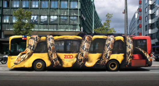 Zoo