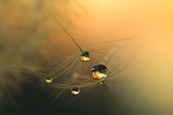 Droplets