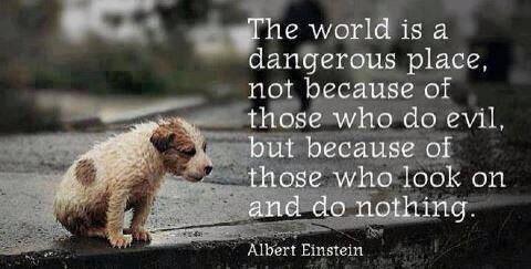 "The world is a dangerous place, not because of those who do evil, but because of those who look on and do nothing." - Albert Einstein