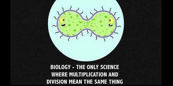 Biology_Humour